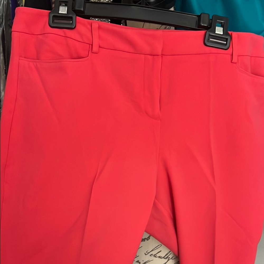 Vibrant Coral Women's Pants